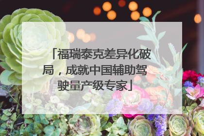 福瑞泰克差异化破局，成就中国辅助驾驶量产级专家