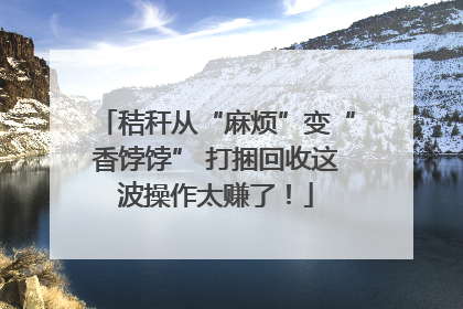 秸秆从“麻烦”变“香饽饽” 打捆回收这波操作太赚了！