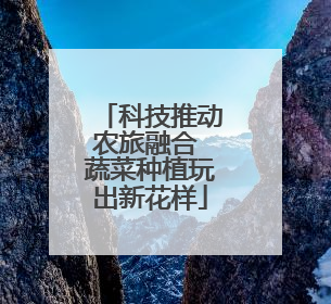 科技推动农旅融合 蔬菜种植玩出新花样