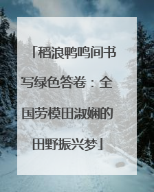 稻浪鸭鸣间书写绿色答卷：全国劳模田淑娴的田野振兴梦