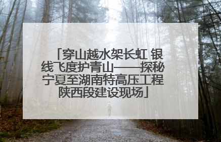 穿山越水架长虹 银线飞度护青山——探秘宁夏至湖南特高压工程陕西段建设现场