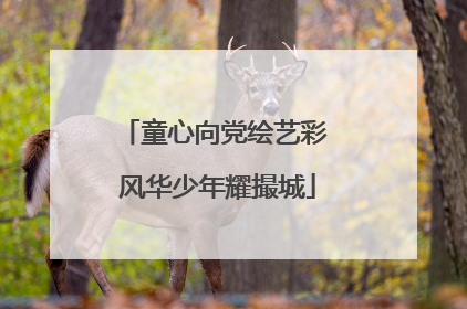 童心向党绘艺彩 风华少年耀撮城