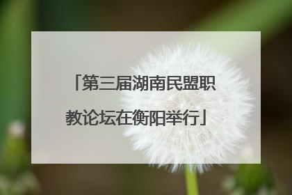 第三届湖南民盟职教论坛在衡阳举行