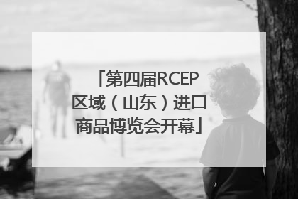 第四届RCEP区域（山东）进口商品博览会开幕