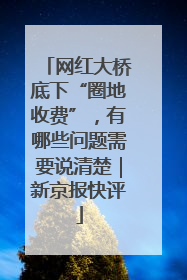 网红大桥底下“圈地收费”，有哪些问题需要说清楚｜新京报快评
