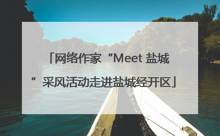 网络作家“Meet 盐城”采风活动走进盐城经开区