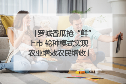 罗城香瓜抢“鲜”上市 轮种模式实现农业增效农民增收