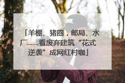 羊棚、猪圈，邮局、水厂……看废弃建筑“花式逆袭”成网红村咖