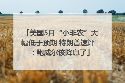 美国5月“小非农”大幅低于预期 特朗普速评：鲍威尔该降息了