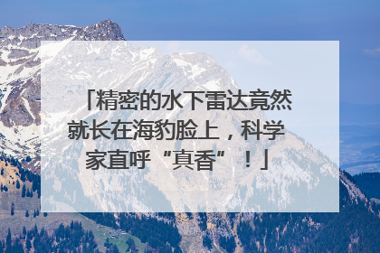 精密的水下雷达竟然就长在海豹脸上，科学家直呼“真香”！