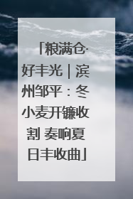 粮满仓·好丰光｜滨州邹平：冬小麦开镰收割 奏响夏日丰收曲