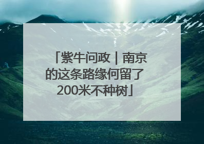 紫牛问政｜南京的这条路缘何留了200米不种树