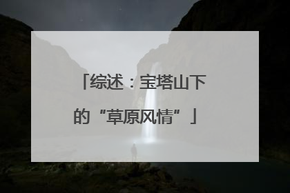 综述：宝塔山下的“草原风情”