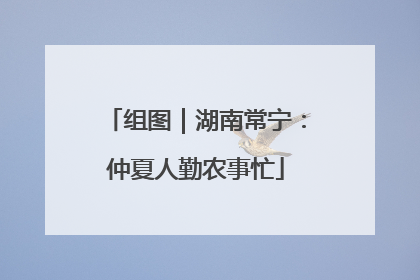 组图｜湖南常宁：仲夏人勤农事忙