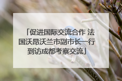 促进国际交流合作 法国沃昂沃兰市副市长一行到访成都考察交流