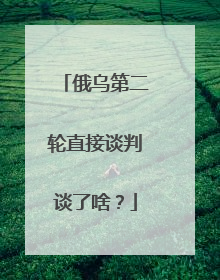 俄乌第二轮直接谈判谈了啥？