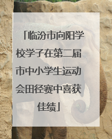 临汾市向阳学校学子在第二届市中小学生运动会田径赛中喜获佳绩