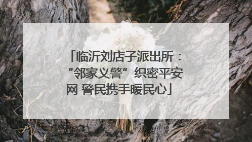 临沂刘店子派出所：“邻家义警”织密平安网 警民携手暖民心