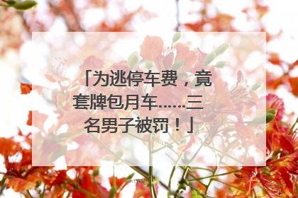为逃停车费，竟套牌包月车……三名男子被罚！