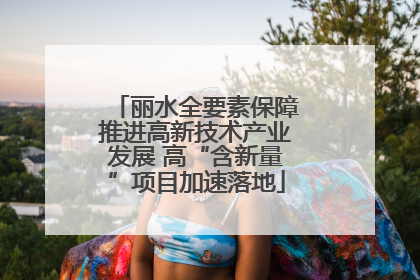 丽水全要素保障推进高新技术产业发展 高“含新量”项目加速落地