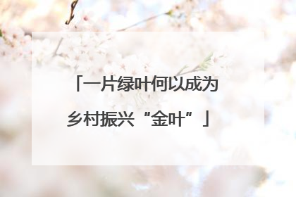 一片绿叶何以成为乡村振兴“金叶”