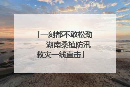 一刻都不敢松劲——湖南桑植防汛救灾一线直击