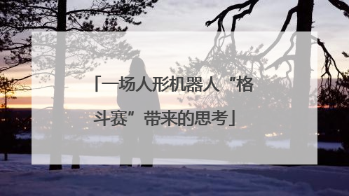 一场人形机器人“格斗赛”带来的思考