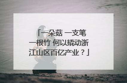 一朵菇 一支笔 一根竹 何以撬动浙江山区百亿产业？