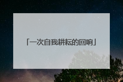 一次自我耕耘的回响