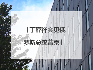 丁薛祥会见俄罗斯总统普京