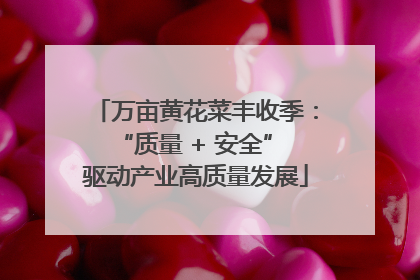 万亩黄花菜丰收季：“质量 + 安全” 驱动产业高质量发展