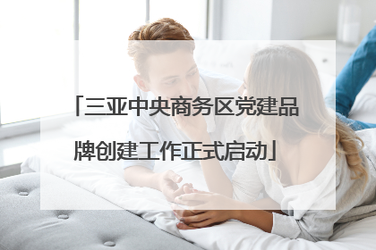 三亚中央商务区党建品牌创建工作正式启动