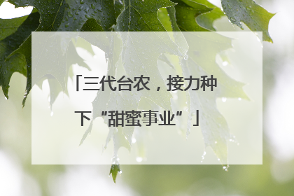 三代台农，接力种下“甜蜜事业”