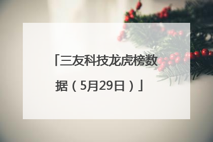 三友科技龙虎榜数据（5月29日）