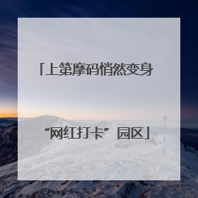 上第摩码悄然变身“网红打卡”园区