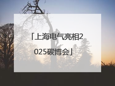 上海电气亮相2025碳博会