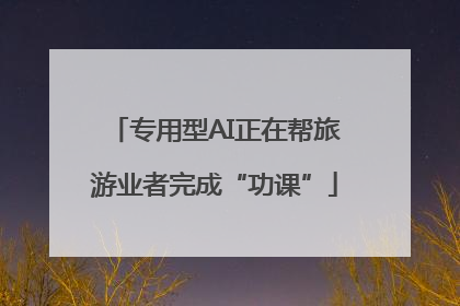 专用型AI正在帮旅游业者完成“功课”