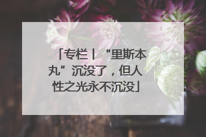 专栏丨“里斯本丸”沉没了，但人性之光永不沉没