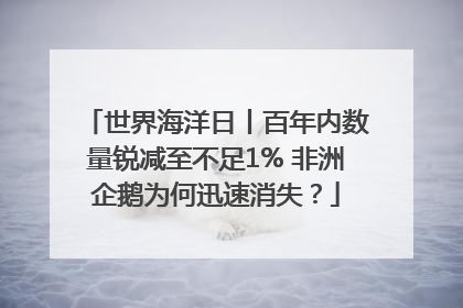 世界海洋日丨百年内数量锐减至不足1% 非洲企鹅为何迅速消失？
