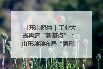 东山晓鲁｜工业大省再造“新基点”：山东频频布局“隐形冠军”背后
