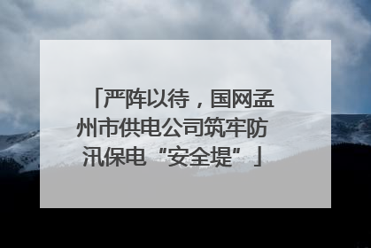 严阵以待，国网孟州市供电公司筑牢防汛保电“安全堤”