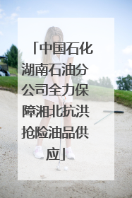 中国石化湖南石油分公司全力保障湘北抗洪抢险油品供应