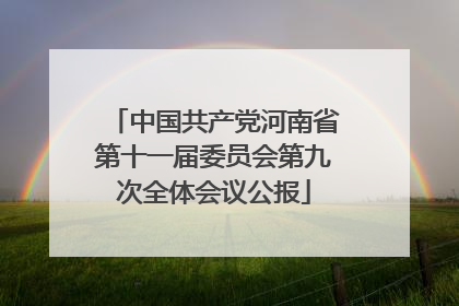 中国共产党河南省第十一届委员会第九次全体会议公报