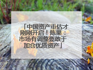 中国资产重估才刚刚开启！陈果：市场有调整要敢于加仓优质资产