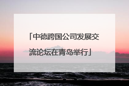 中德跨国公司发展交流论坛在青岛举行