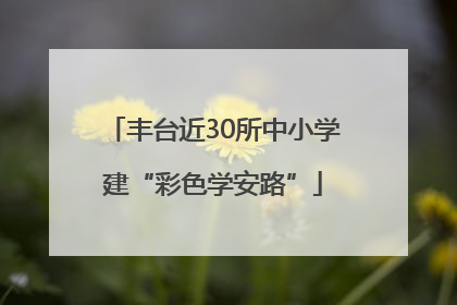 丰台近30所中小学建“彩色学安路”