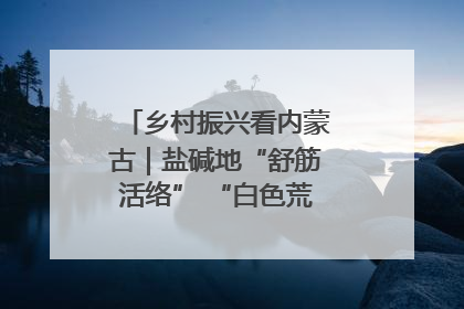 乡村振兴看内蒙古｜盐碱地“舒筋活络” “白色荒漠”长出吨粮田