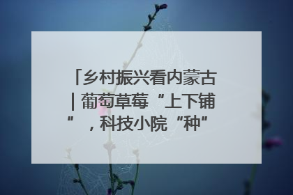 乡村振兴看内蒙古｜葡萄草莓“上下铺”，科技小院“种”出三倍效益