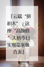 云端“拼积木”，这座“高颜值”大桥今日实现毫米级合龙