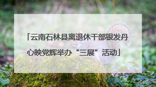 云南石林县离退休干部银发丹心映党辉举办“三展”活动
